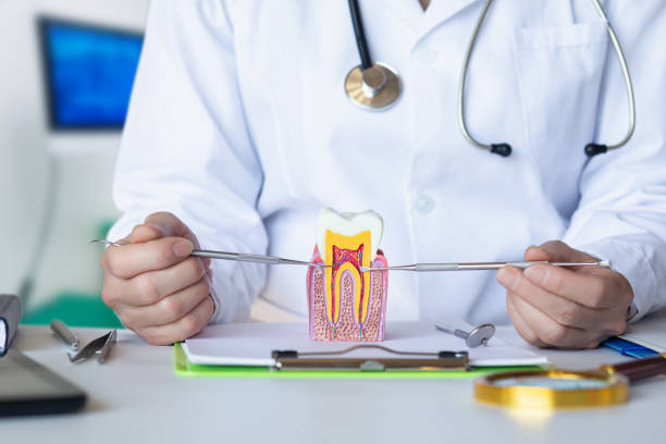 Best Weekend Emergency Dentist in Marshfield, WI